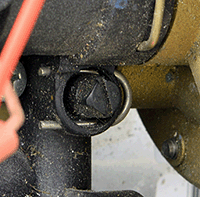 sm friendly format flm in situ.gif